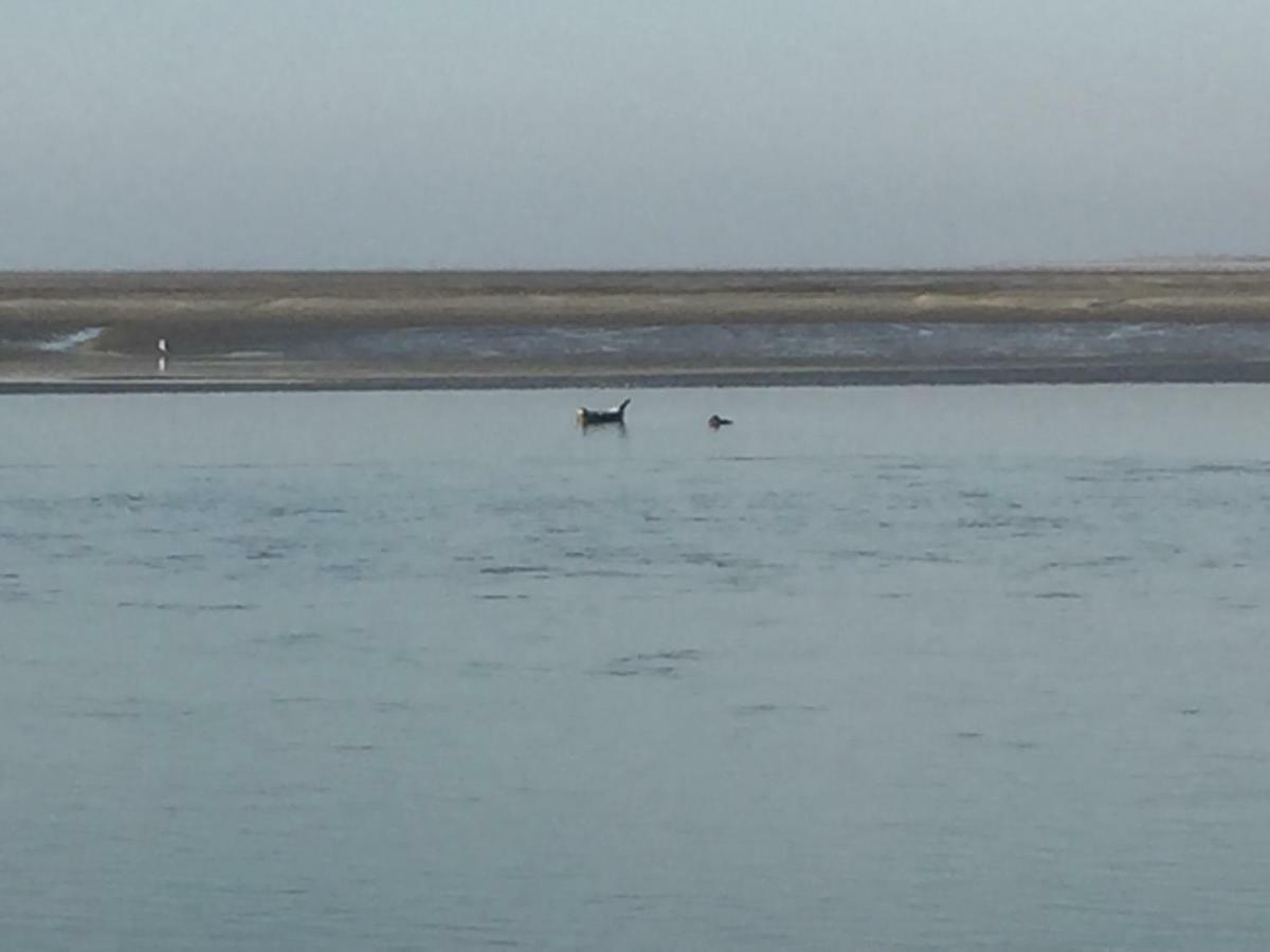 Appartement Baie De Somme, Cayeux Sur Mer, Villa Jacques Mathilde ภายนอก รูปภาพ
